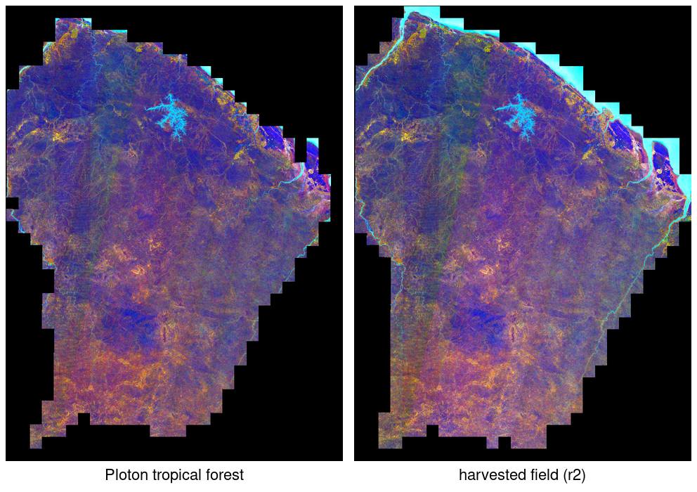 French Guiana, v1.1, the Ploton correction against the harvested field