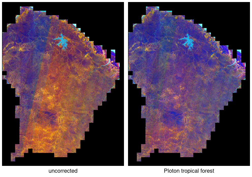 French Guiana, v1.1, uncorrected against the Ploton tropical forest correction