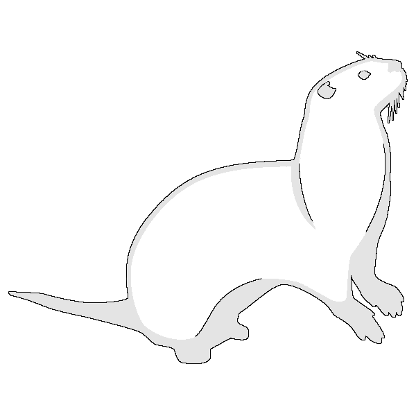 Otter Wiki with Raven Authentication